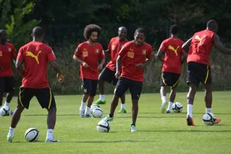 Cameroun : les Lions Indomptables se mettent au vert