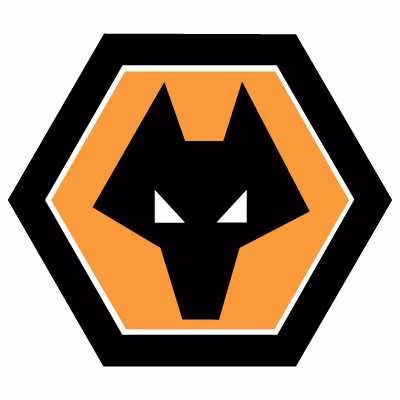 Wolves-Guedioura: &ldquo;Heureux de jouer 90 minutes&rdquo;