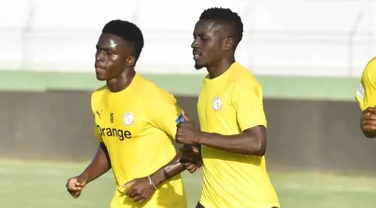 Coupe du monde 2022&nbsp;: le S&eacute;n&eacute;gal meilleure chance africaine pour Opta, le Cameroun &agrave; 0% !