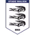 Stade Malien