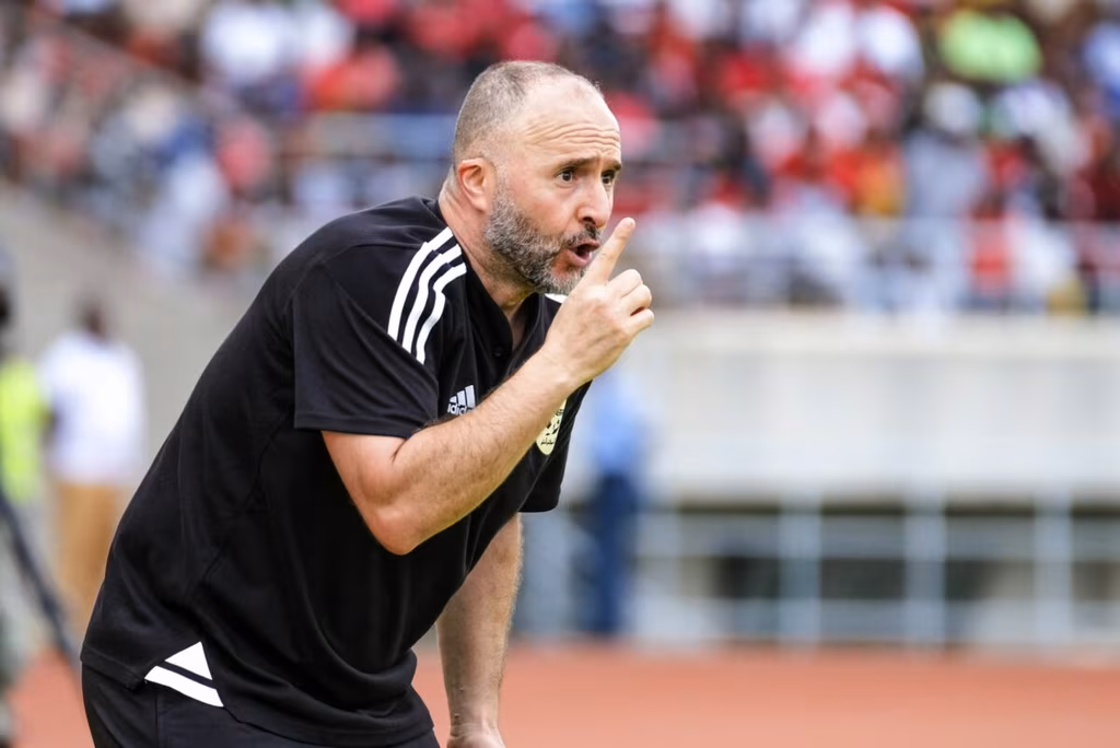 Djamel Belmadi, Alg&eacute;rie, s&eacute;lectionneur