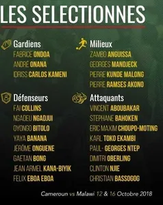Cameroun : la liste pour le Malawi avec Bassogog, Njie et la surprise Oberlin !