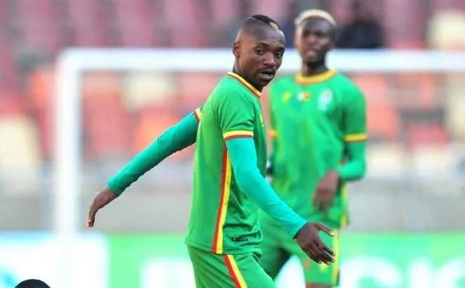 CAN 2019 : la star du Zimbabwe esp&eacute;r&eacute;e pour le match d&rsquo;ouverture