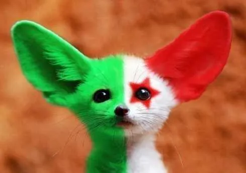 Les surnoms des &eacute;quipes de la CAN 2013