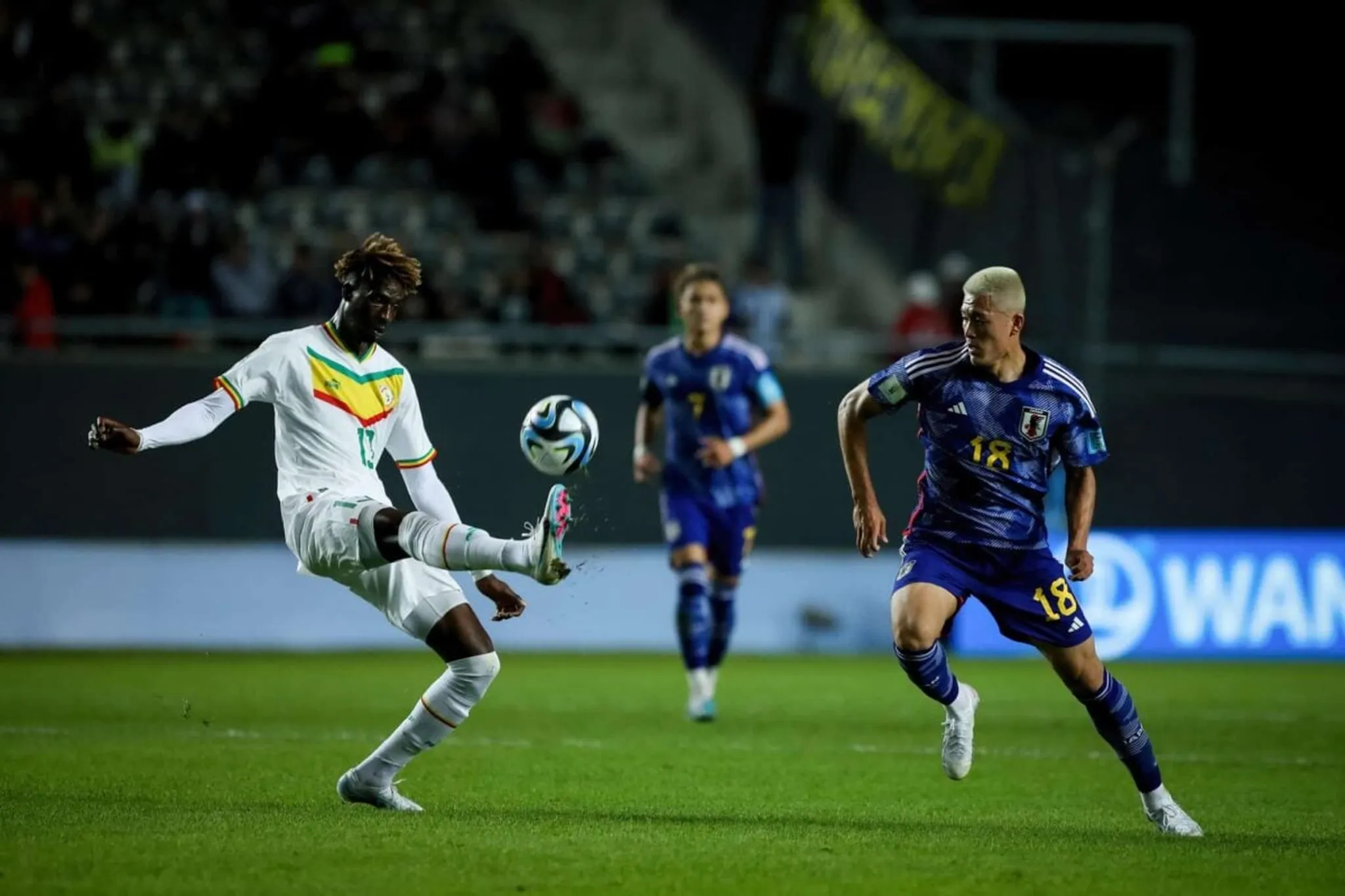 Coupe du monde U20 : r&eacute;sultats et classements