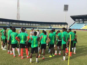 Prépa. CAN 2019 : les compos de Nigeria-Egypte