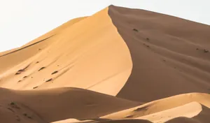 Algérie : bientôt un stade aux portes du Sahara