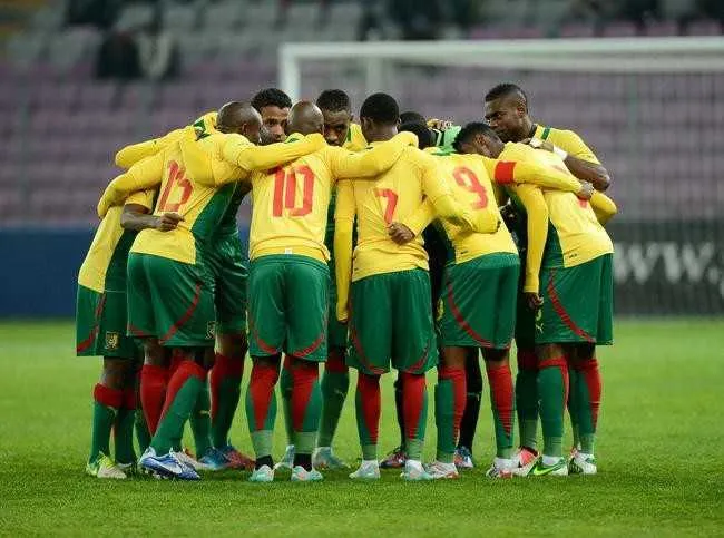 CM 2014 : le Cameroun pour une surprise ?