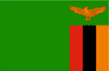 zambie