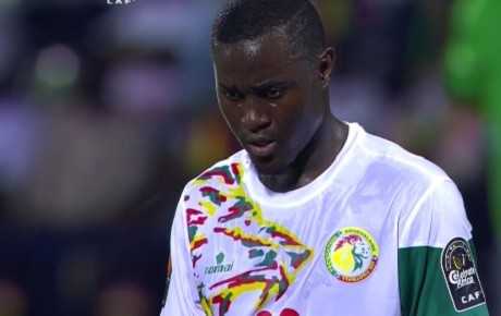 saivet