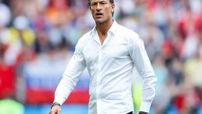 renard