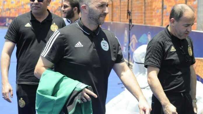 belmadi
