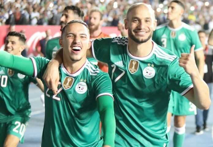 maillot algerie 2 etoiles adidas