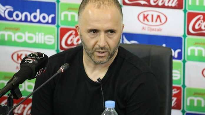 belmadi
