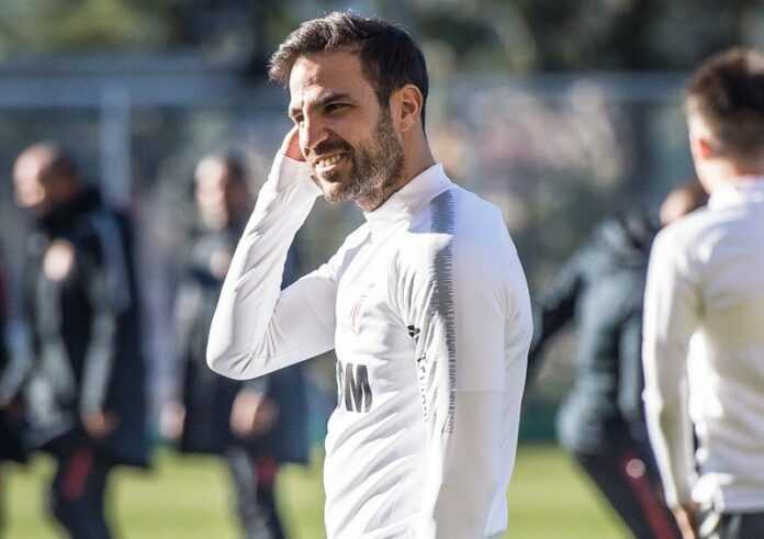 fabregas