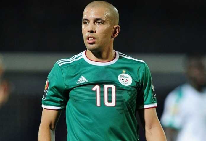 feghouli