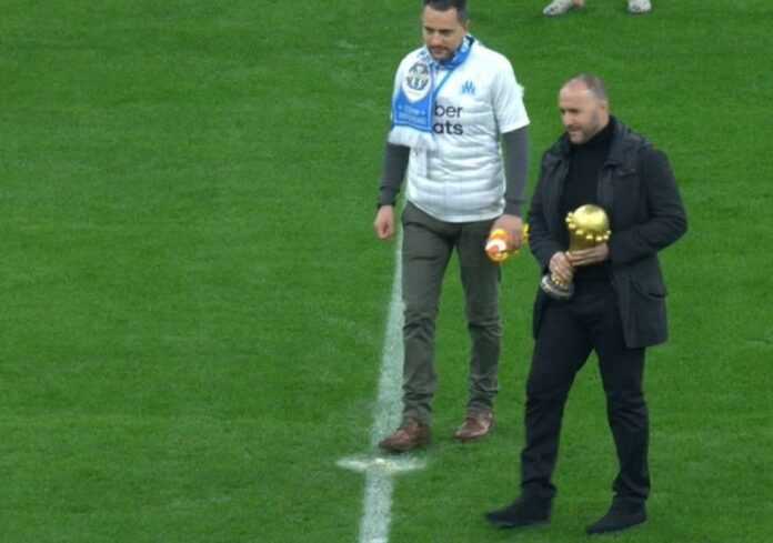 belmadi