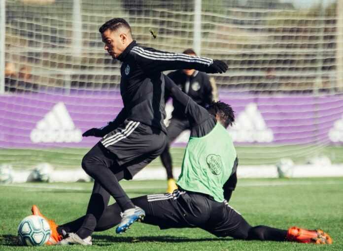 ben arfa