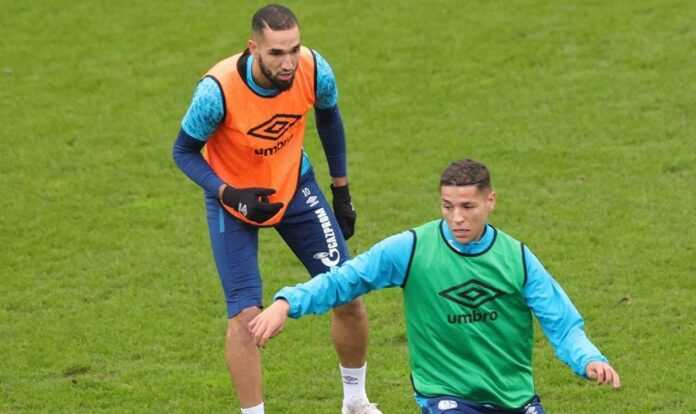harit bentaleb