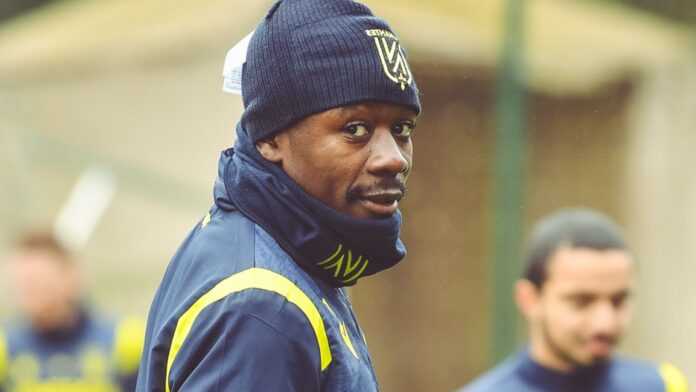 Imbula