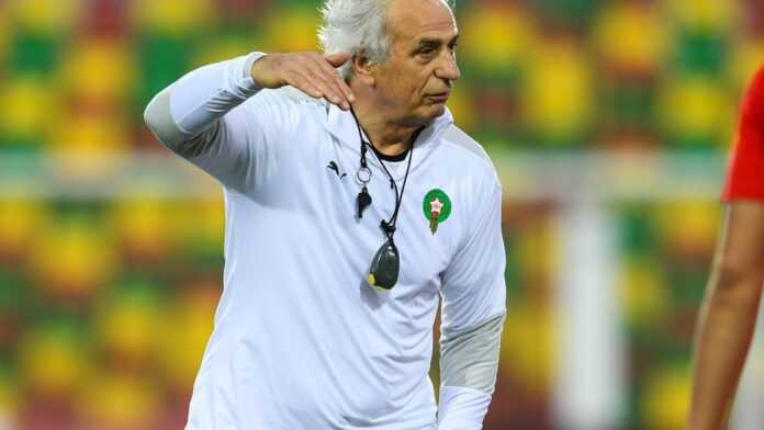 Halilhodzic
