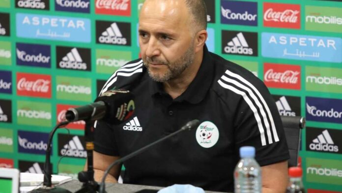 belmadi