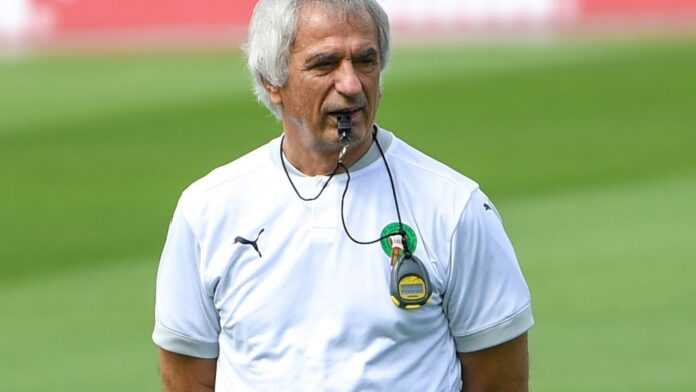 Vahid Halilhodzic Vahid Halilhodzic