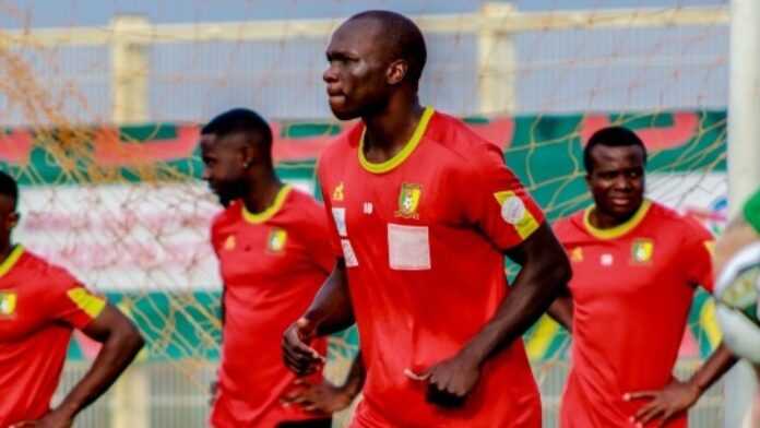 aboubakar cameroun aboubakar cameroun
