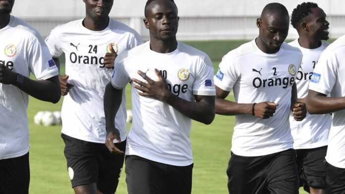 Mané Mané
