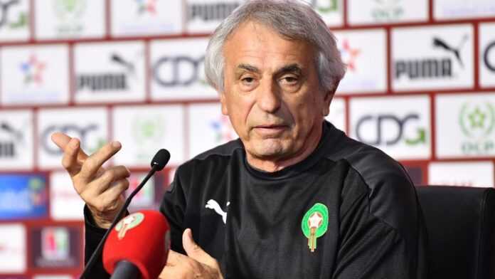 Vahid Halilhodzic Vahid Halilhodzic