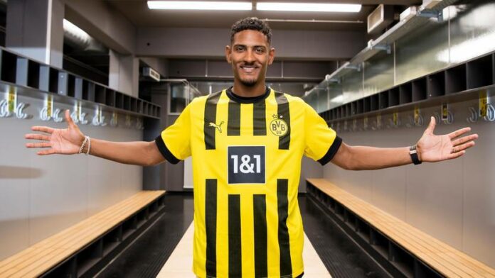 Haller Haller