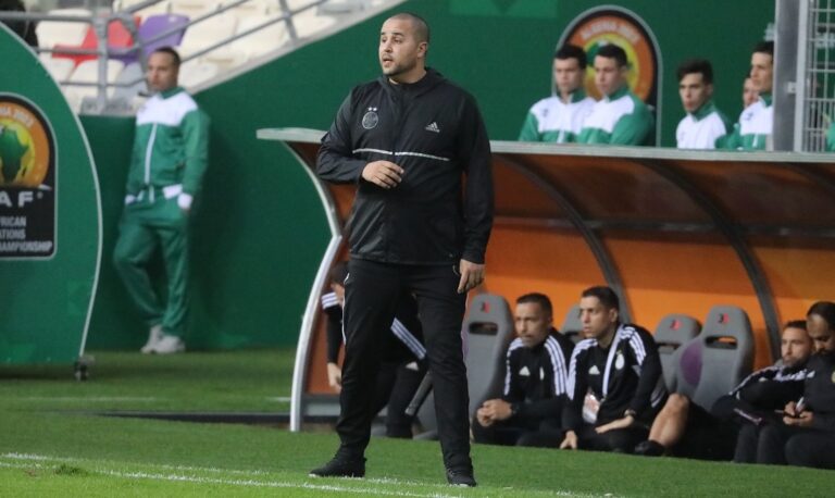 Madjid Bougherra, Algérie