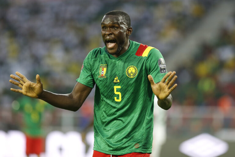 Michael Ngadeu, Cameroun