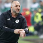 Djamel Belmadi, Algérie