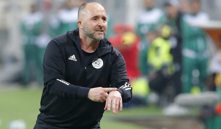 Djamel Belmadi, Algérie