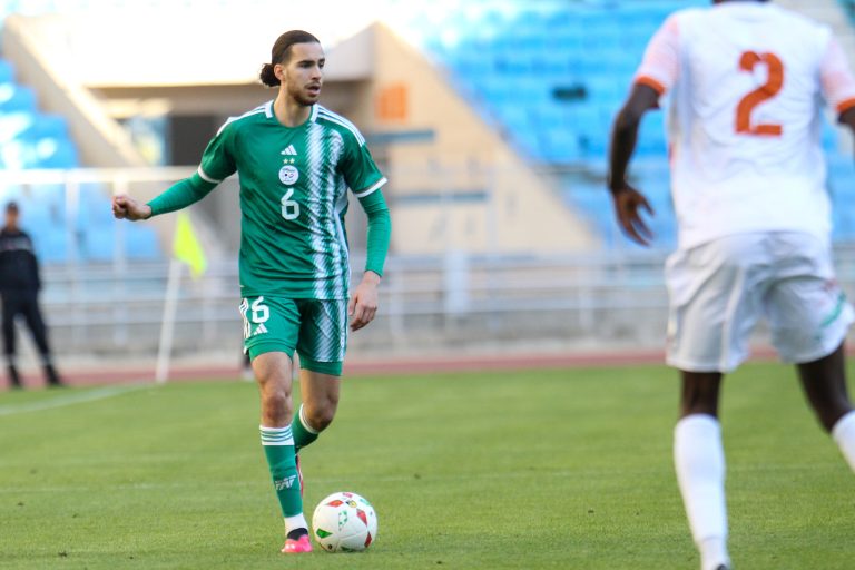 Ramiz Zerrouki, Algérie