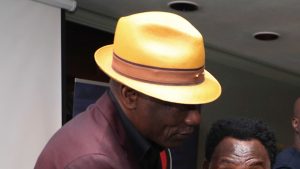 Joseph Antoine Bell, Cameroun