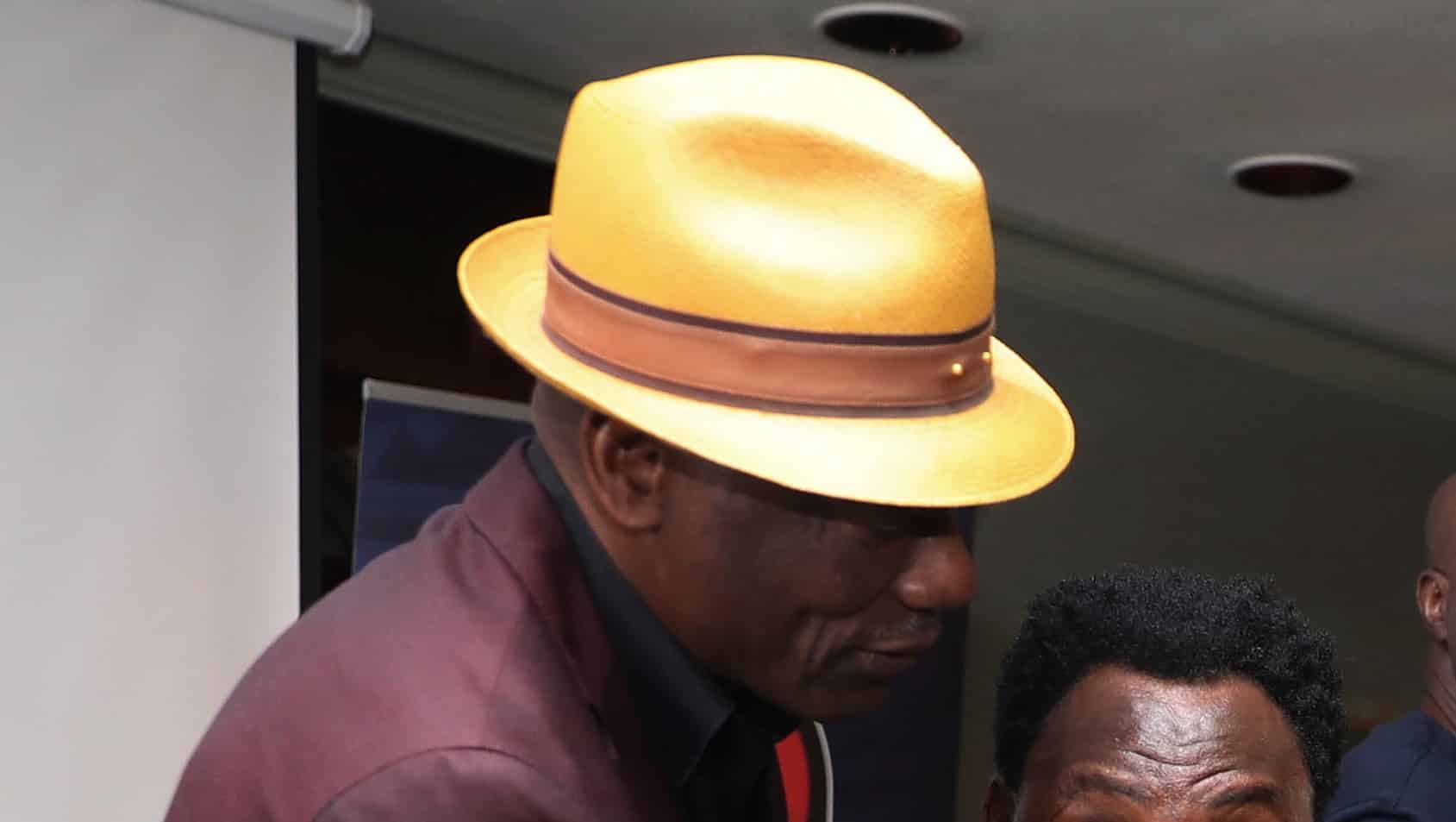Joseph Antoine Bell, Cameroun