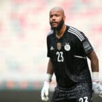 Rais Mbolhi, Algérie