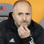Djamel Belmadi, sélectionneur Algérie, Fennecs